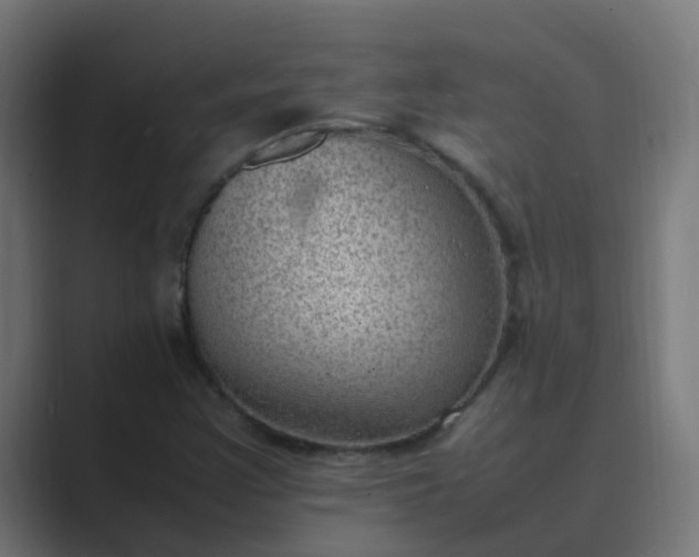 X0000089461355200706291454