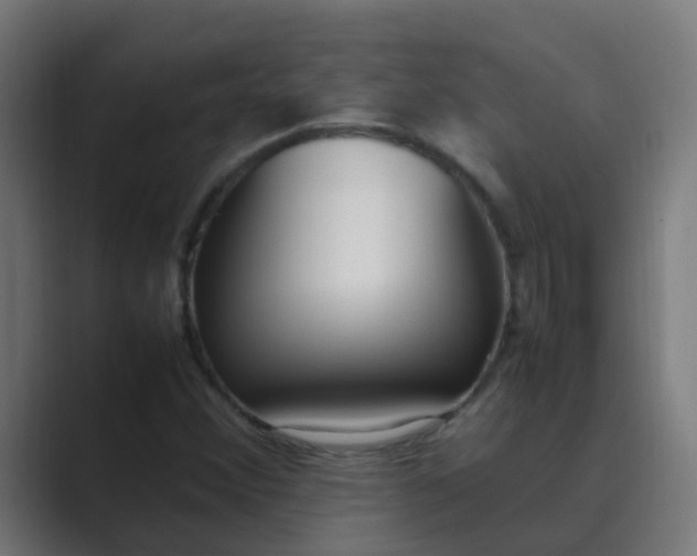 X0000089461356200706291454