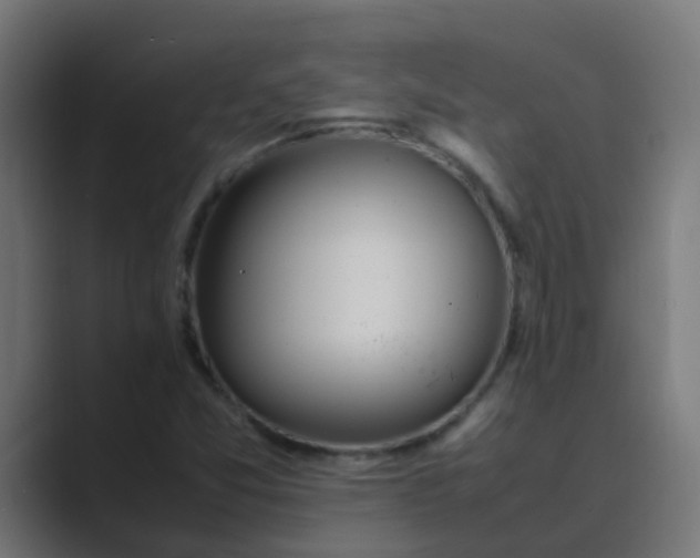 X0000089461357200706291454