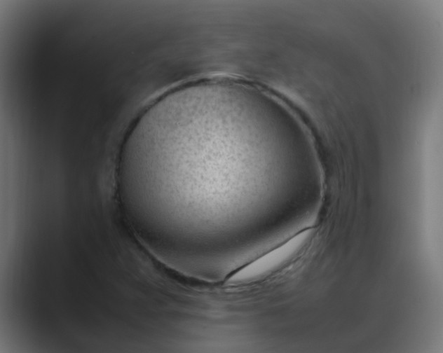X0000089461359200706291454