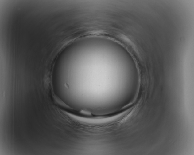 X0000089461361200706291454