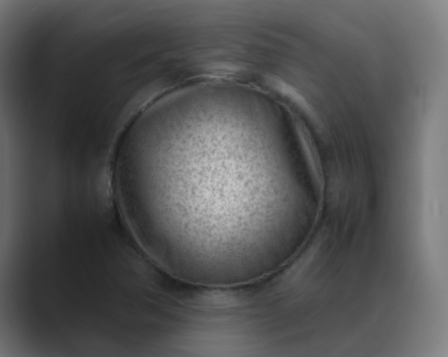 X0000089461362200706291454