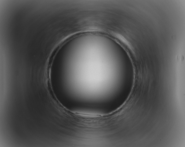 X0000089461364200706291454