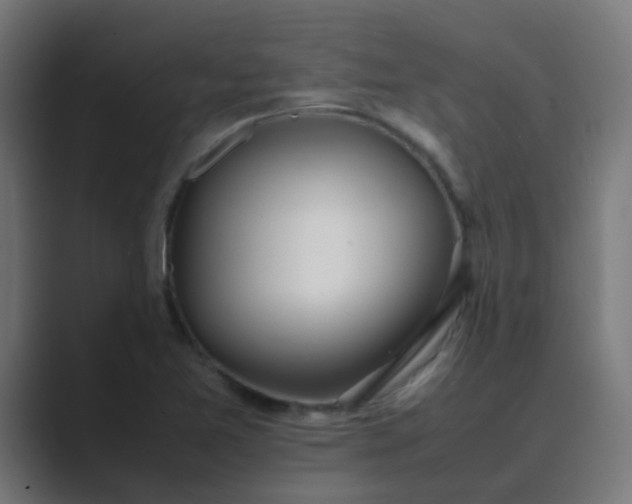 X0000089461365200706291454
