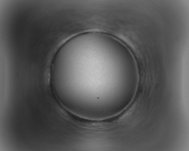 X0000089461367200706291453