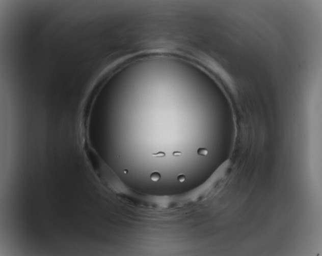 X0000089461368200706291453