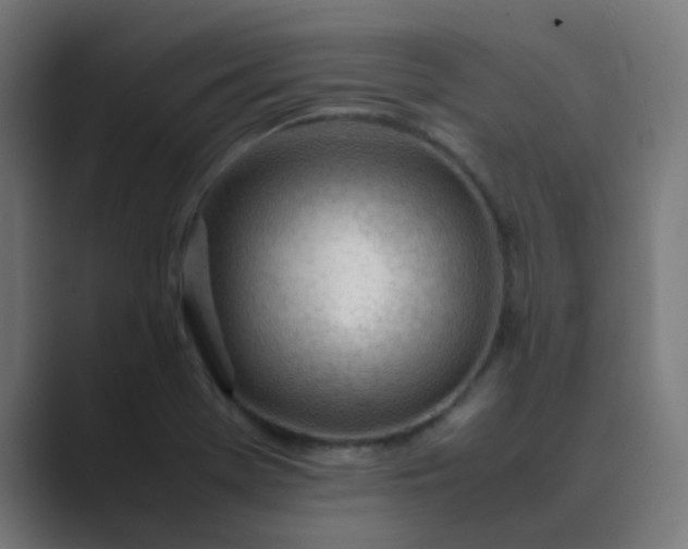 X0000089461369200706291453