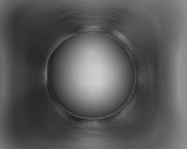 X0000089461370200706291453