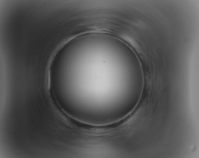 X0000089461371200706291453