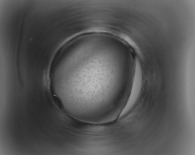 X0000089461372200706291453