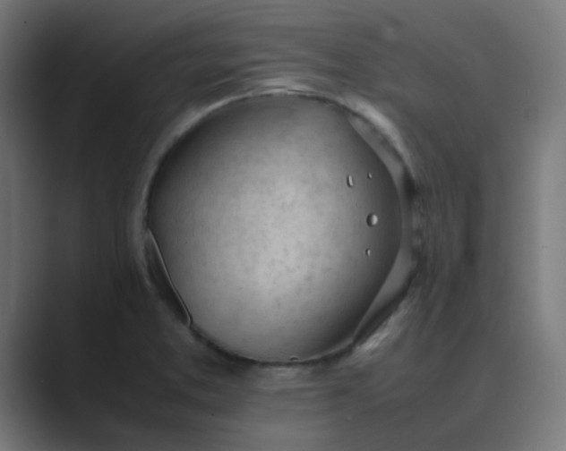 X0000089461373200706291453