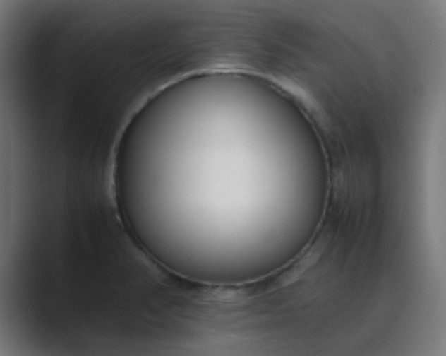 X0000089461374200706291453