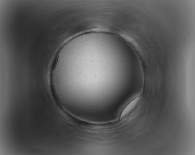X0000089461375200706291453