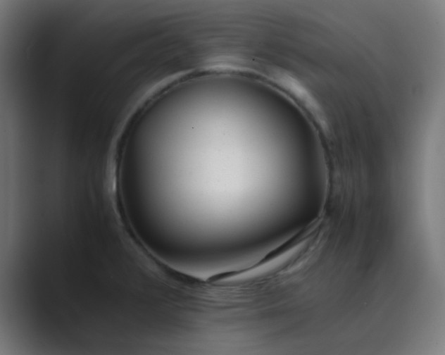 X0000089461376200706291453