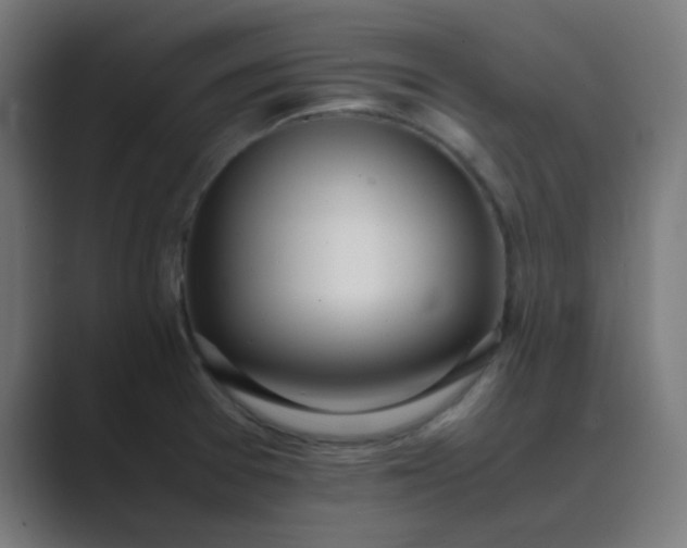 X0000089461377200706291453