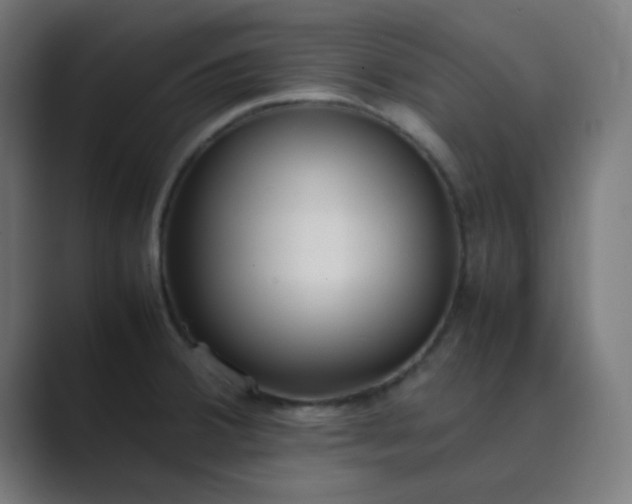 X0000089461380200706291453