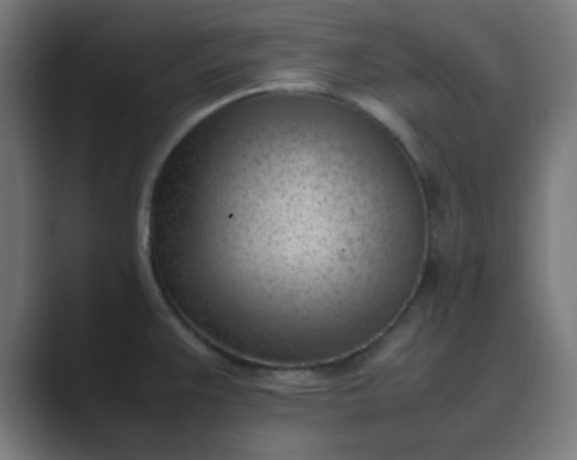 X0000089461383200706291453