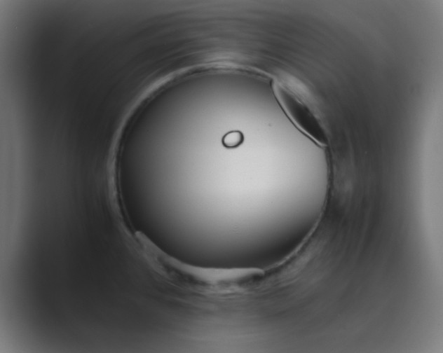 X0000089461384200706291453