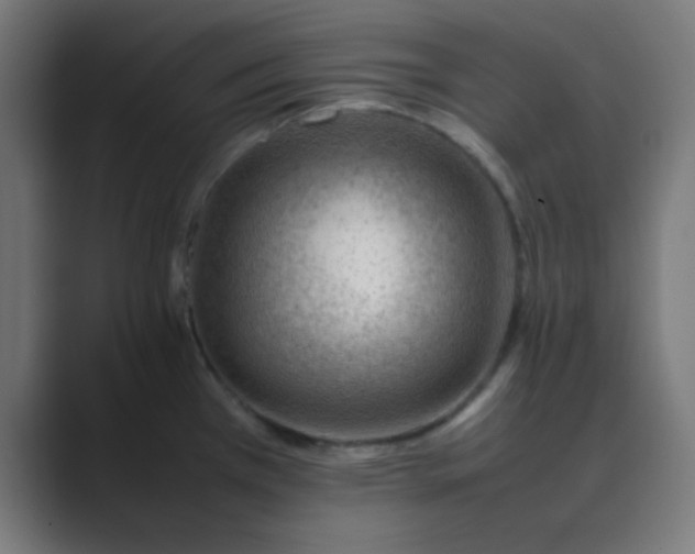 X0000089461385200706291453