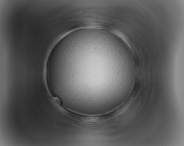 X0000089461387200706291453