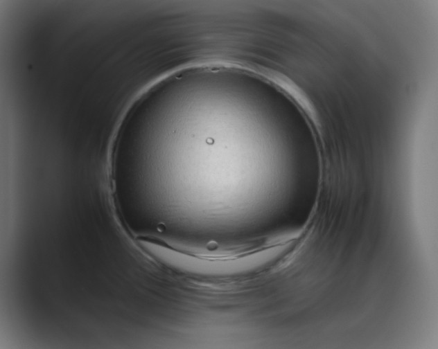 X0000089461388200706291453