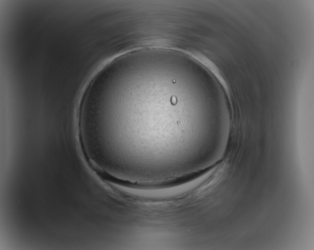 X0000089461389200706291453