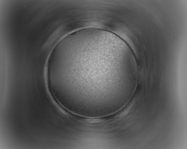 X0000089461391200706291453