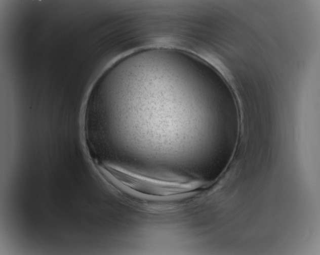 X0000089461392200706291453