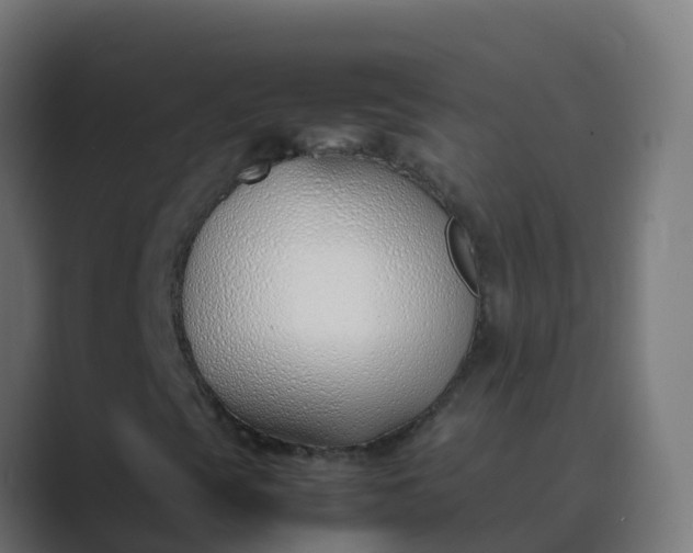 X0000089461393200706291453