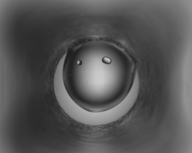 X0000089461398200706291453