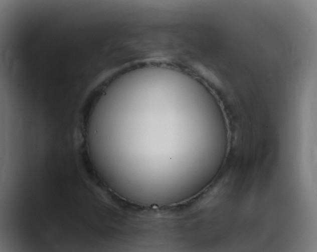 X0000089461400200706291453