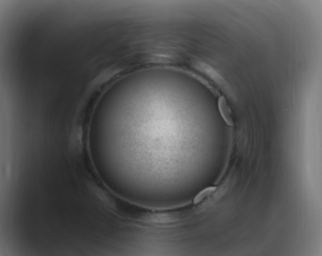X0000089461402200706291453