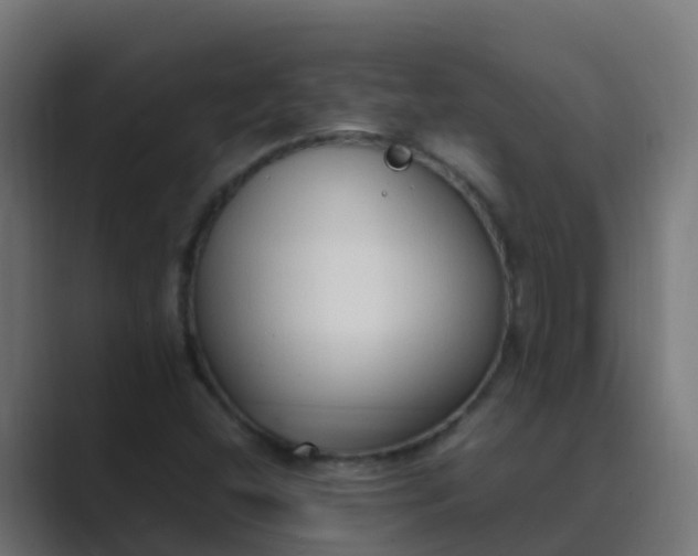 X0000089461404200706291453