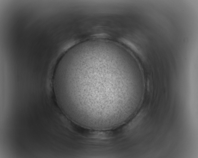 X0000089461405200706291453
