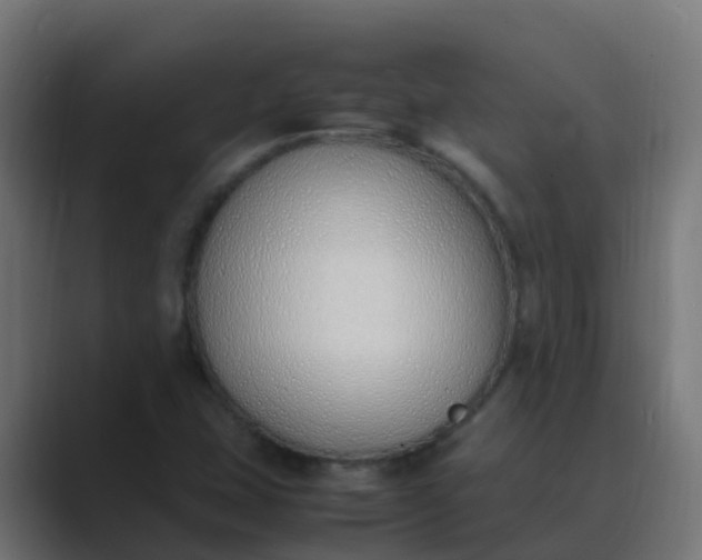 X0000089461407200706291453