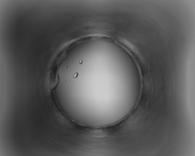 X0000089461408200706291453