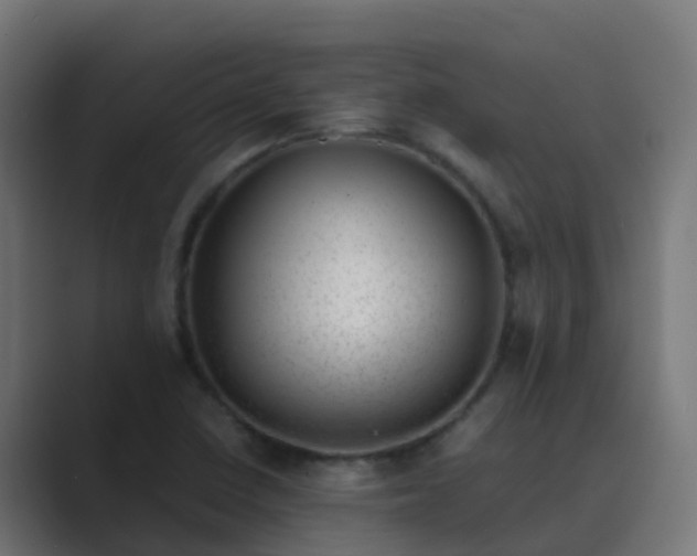 X0000089461410200706291453