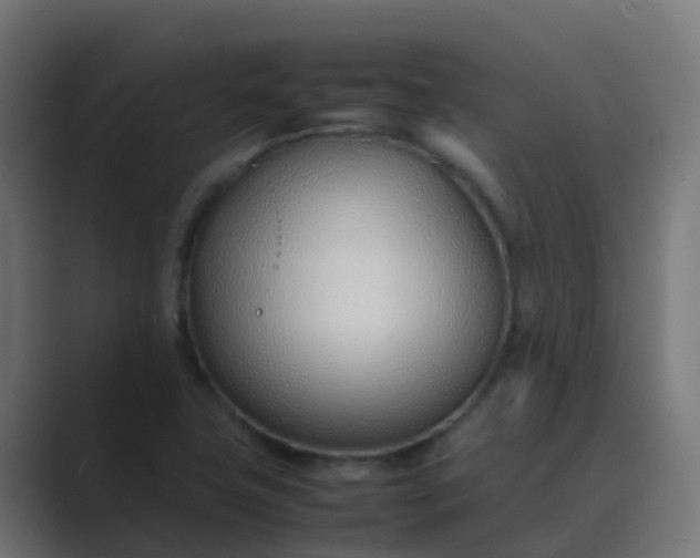 X0000089461411200706291453