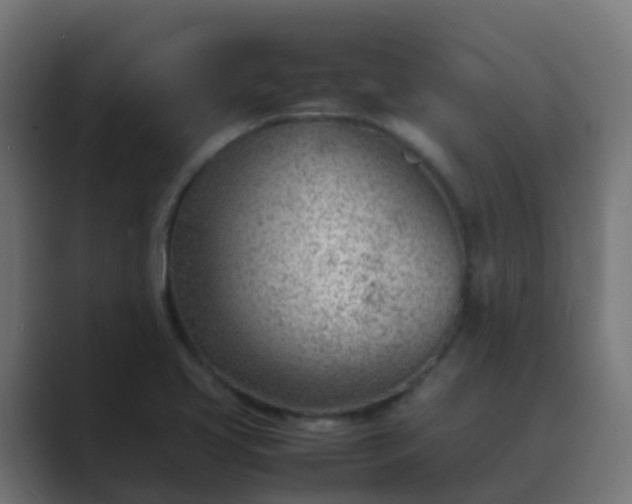 X0000089461413200706291453