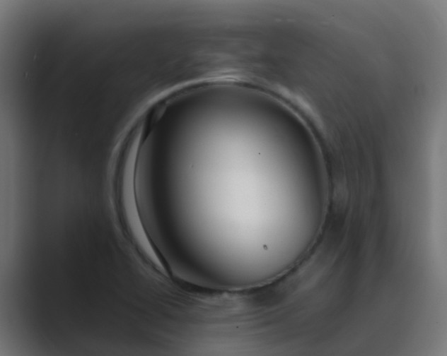 X0000089461414200706291453
