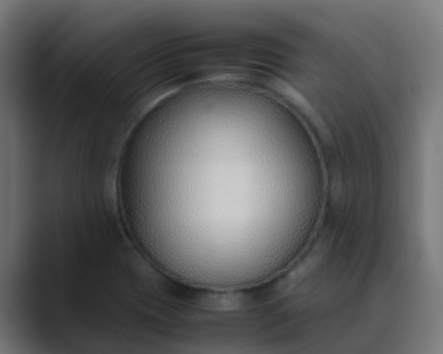 X0000089461417200706291453