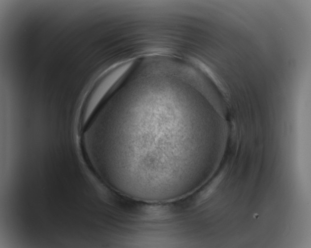 X0000089461418200706291453