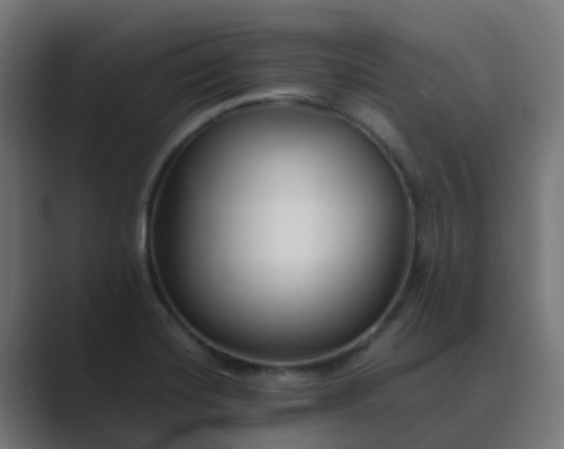 X0000089461420200706291453