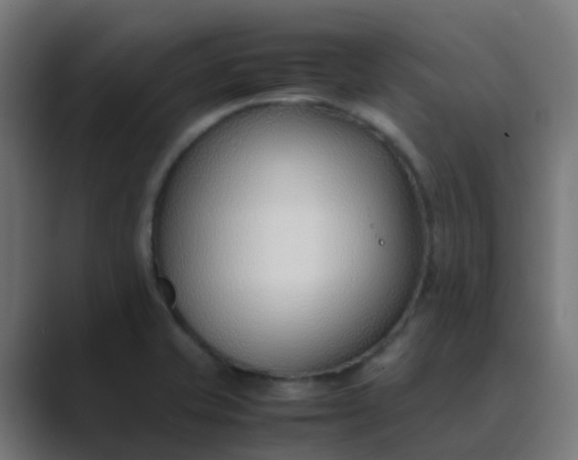 X0000089461421200706291453