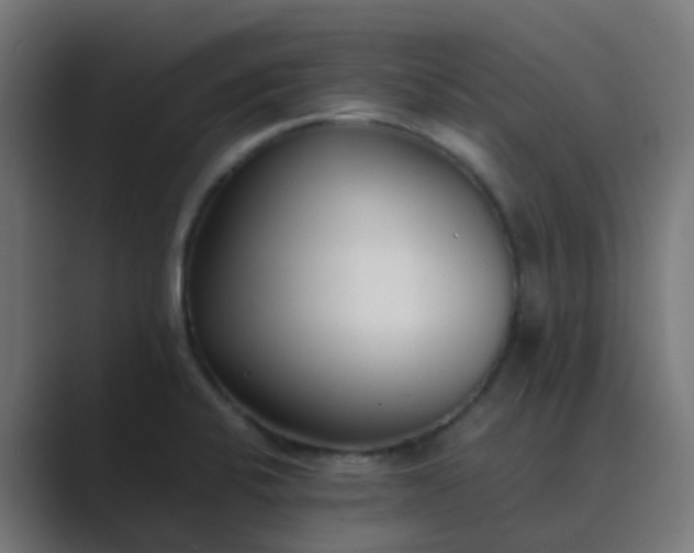 X0000089461424200706291453