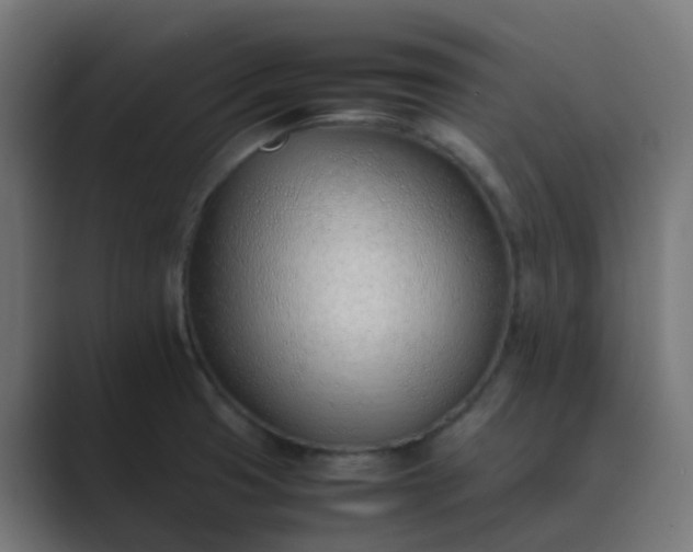 X0000089461425200706291453