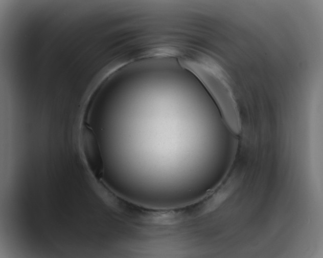 X0000089461426200706291453