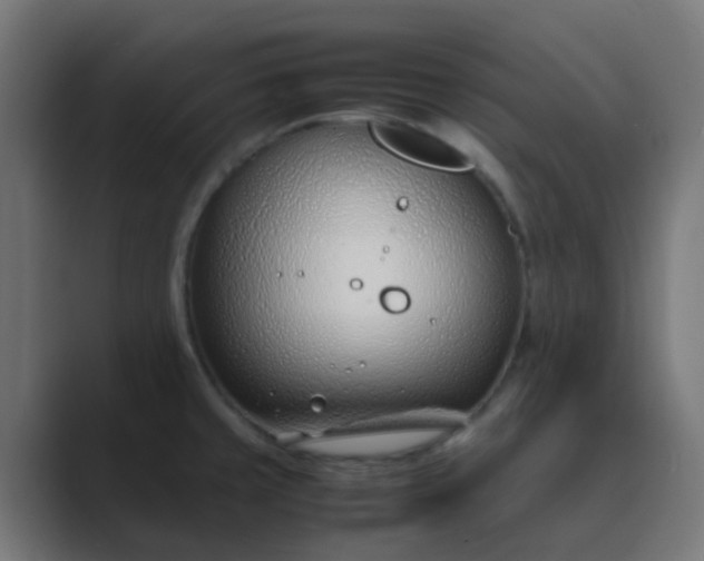 X0000089461429200706291453