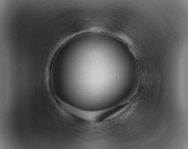 X0000089461430200706291453