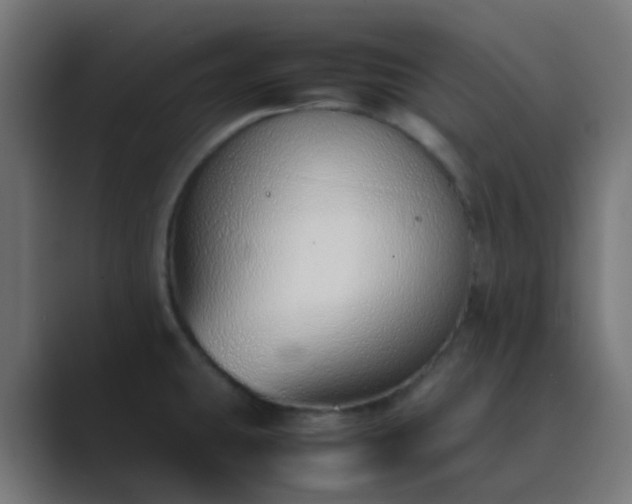 X0000089461431200706291453